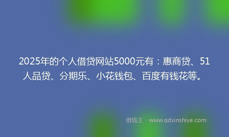 2025年的个人借贷网站5000元有:惠商贷、51人品贷、分期乐、小花钱包、百度有钱花等。