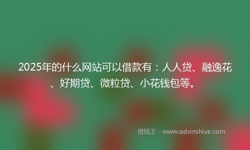 2025年的什么网站可以借款有：人人贷、融逸花、好期贷、微粒贷、小花钱包等。
