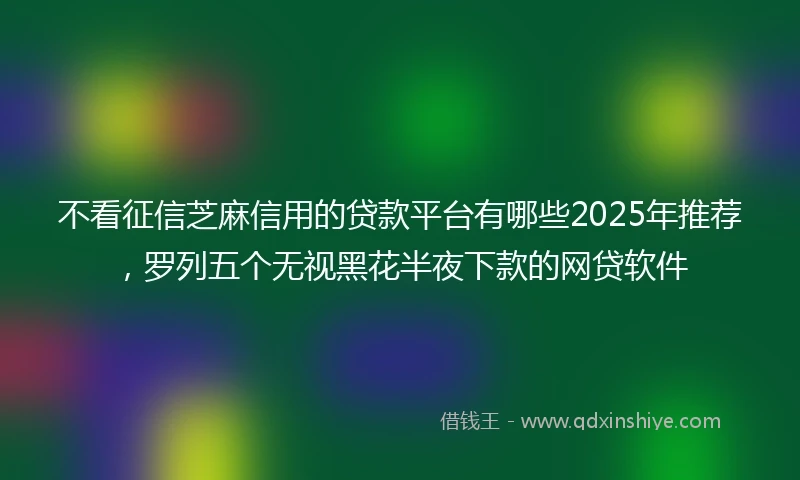 不看征信芝麻信用的贷款平台有哪些2025年推荐，罗列五个无视黑花半夜下款的网贷软件