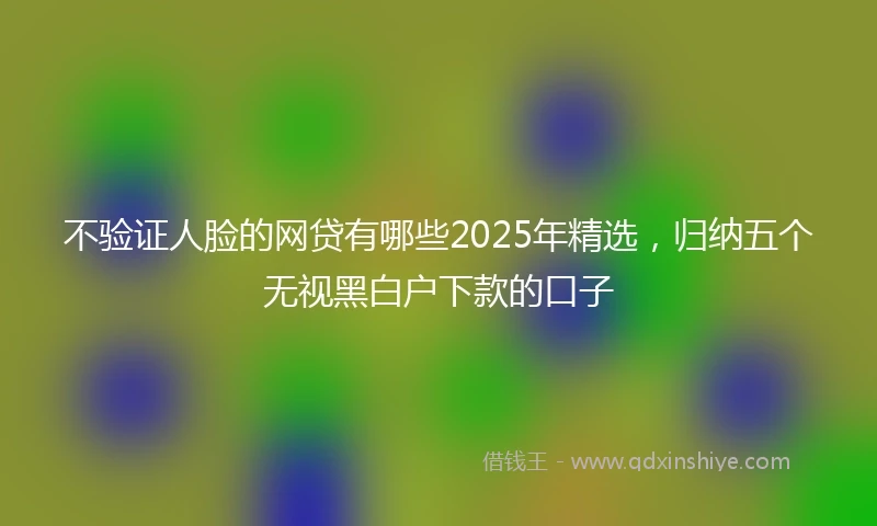 不验证人脸的网贷有哪些2025年精选，归纳五个无视黑白户下款的口子