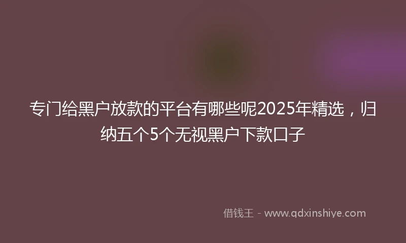 专门给黑户放款的平台有哪些呢2025年精选，归纳五个5个无视黑户下款口子