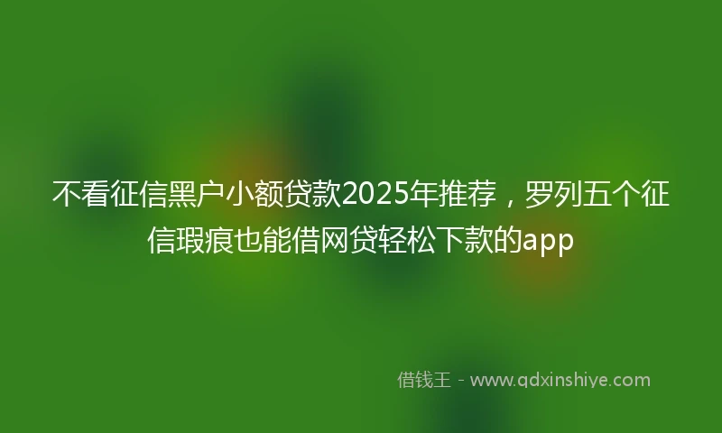 不看征信黑户小额贷款2025年推荐，罗列五个征信瑕疵也能借网贷轻松下款的app