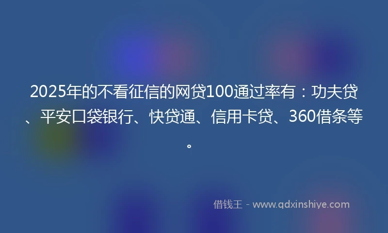 2025年的不看征信的网贷100通过率有：功夫贷、平安口袋银行、快贷通、信用卡贷、360借条等。