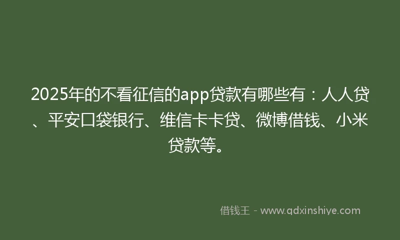 2025年的不看征信的app贷款有哪些有：人人贷、平安口袋银行、维信卡卡贷、微博借钱、小米贷款等。