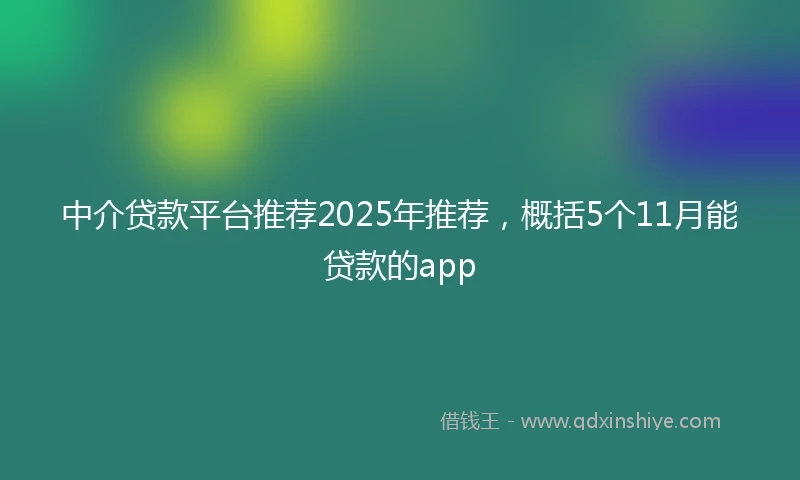 中介贷款平台推荐2025年推荐，概括5个11月能贷款的app