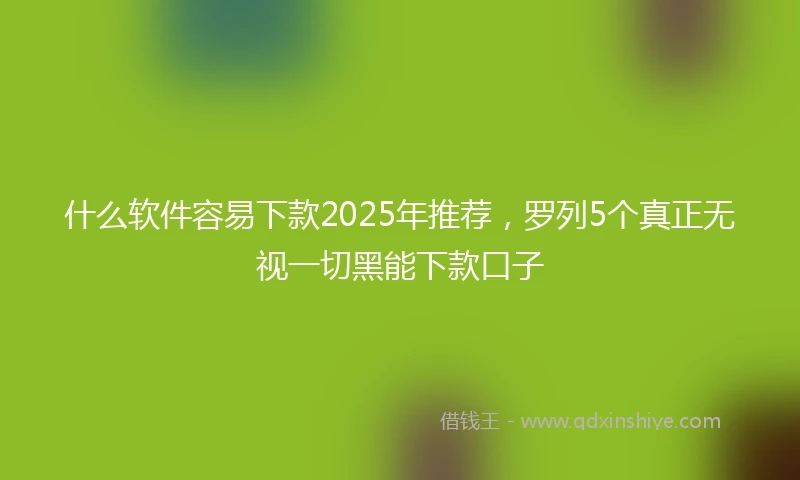 什么软件容易下款2025年推荐，罗列5个真正无视一切黑能下款口子