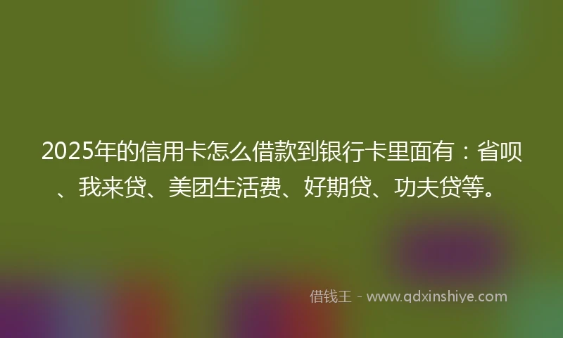 2025年的信用卡怎么借款到银行卡里面有：省呗、我来贷、美团生活费、好期贷、功夫贷等。