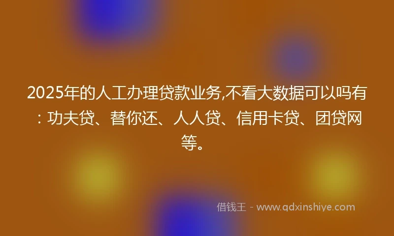 2025年的人工办理贷款业务,不看大数据可以吗有：功夫贷、替你还、人人贷、信用卡贷、团贷网等。