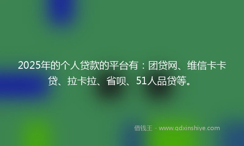 2025年的个人贷款的平台有：团贷网、维信卡卡贷、拉卡拉、省呗、51人品贷等。