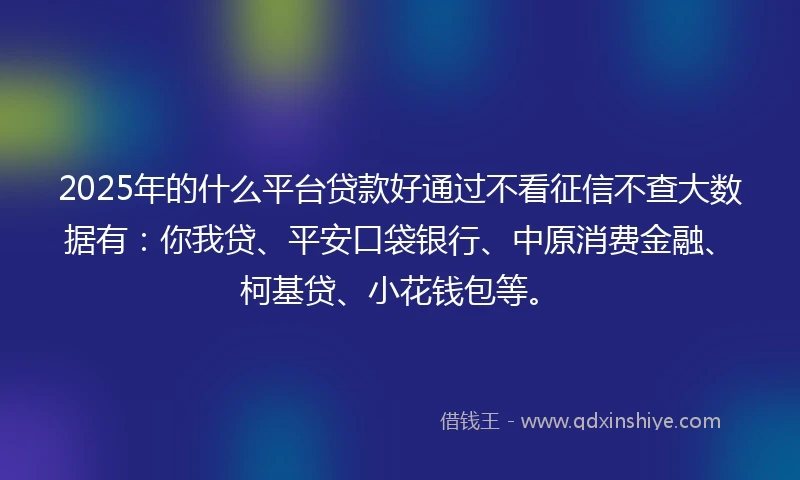 2025年的什么平台贷款好通过不看征信不查大数据有：你我贷、平安口袋银行、中原消费金融、柯基贷、小花钱包等。