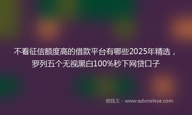 不看征信额度高的借款平台有哪些2025年精选，罗列五个无视黑白100%秒下网贷口子