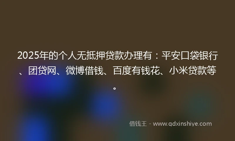 2025年的个人无抵押贷款办理有：平安口袋银行、团贷网、微博借钱、百度有钱花、小米贷款等。