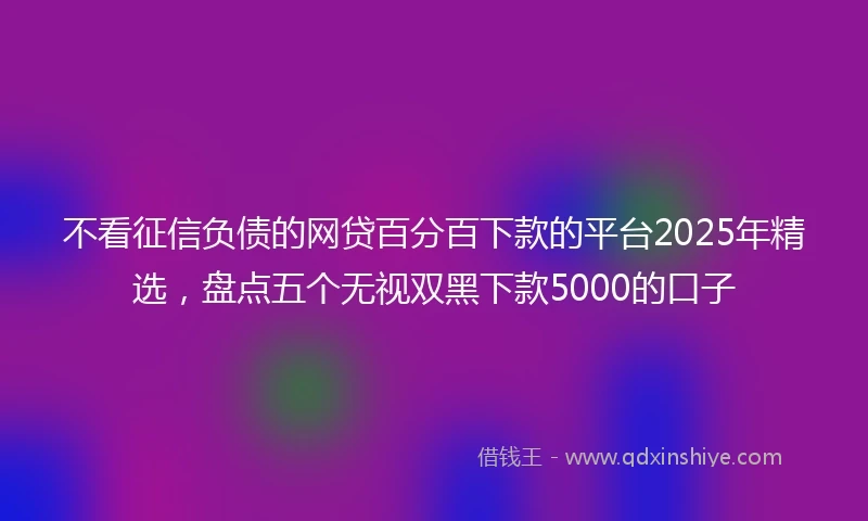 不看征信负债的网贷百分百下款的平台2025年精选，盘点五个无视双黑下款5000的口子