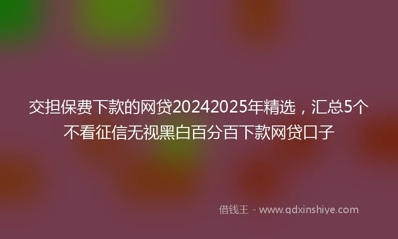 交担保费下款的网贷20242025年精选，汇总5个不看征信无视黑白百分百下款网贷口子