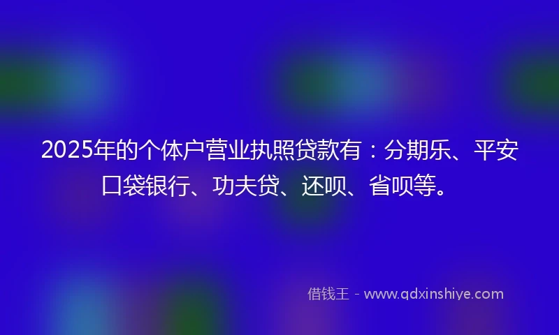 2025年的个体户营业执照贷款有：分期乐、平安口袋银行、功夫贷、还呗、省呗等。