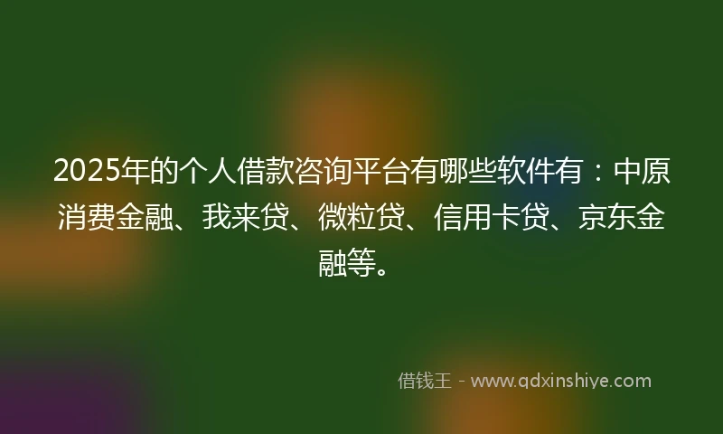 2025年的个人借款咨询平台有哪些软件有：中原消费金融、我来贷、微粒贷、信用卡贷、京东金融等。