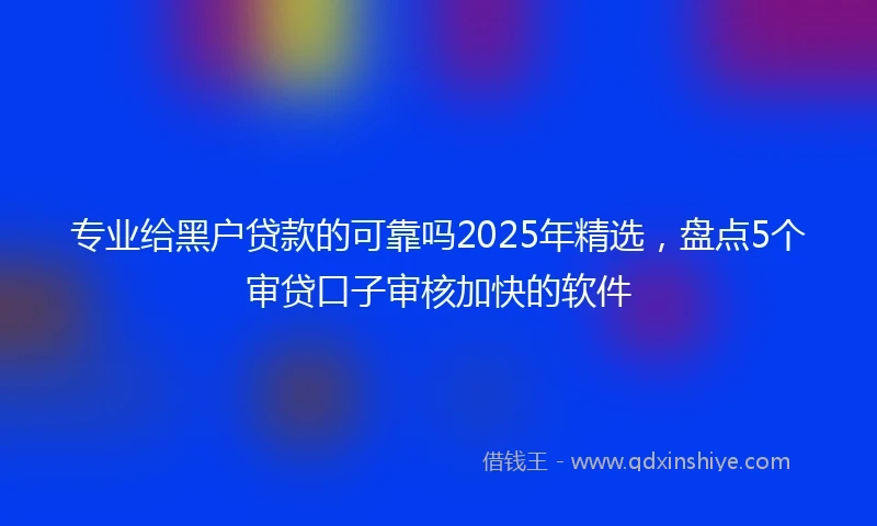 专业给黑户贷款的可靠吗2025年精选，盘点5个审贷口子审核加快的软件