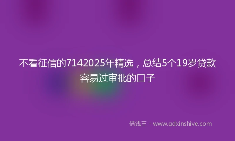 不看征信的7142025年精选，总结5个19岁贷款容易过审批的口子