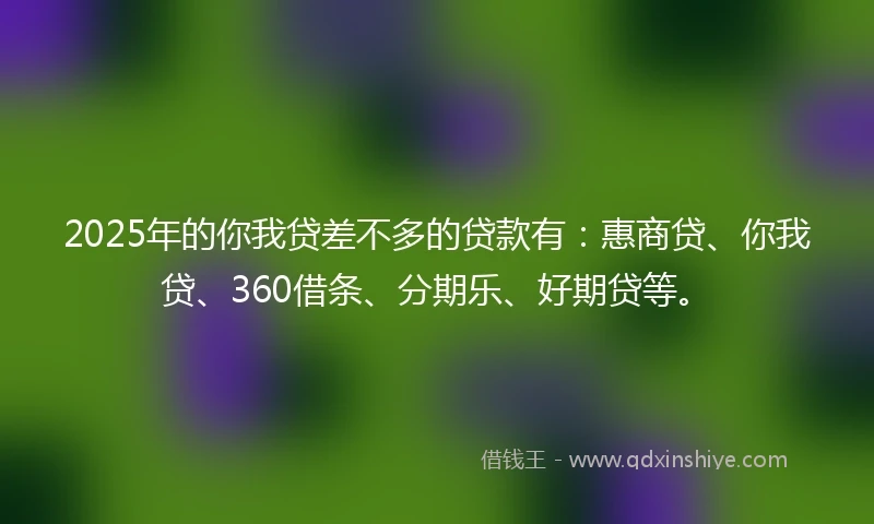 2025年的你我贷差不多的贷款有：惠商贷、你我贷、360借条、分期乐、好期贷等。