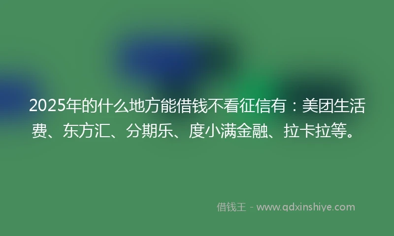 2025年的什么地方能借钱不看征信有：美团生活费、东方汇、分期乐、度小满金融、拉卡拉等。