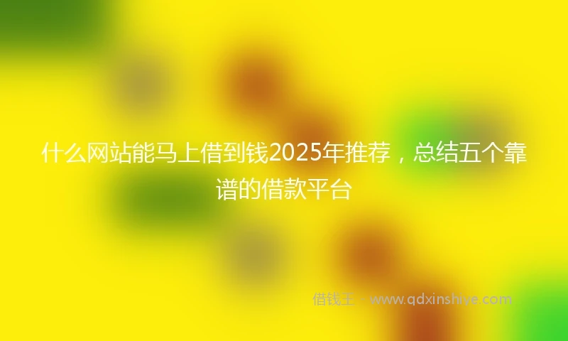 什么网站能马上借到钱2025年推荐，总结五个靠谱的借款平台