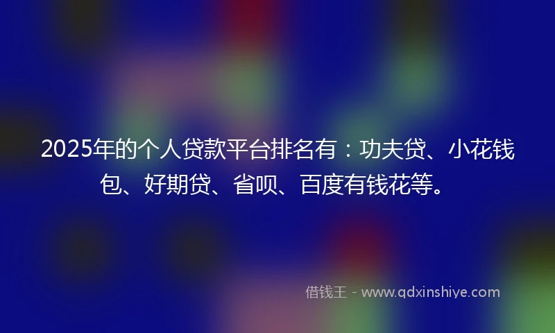 2025年的个人贷款平台排名有：功夫贷、小花钱包、好期贷、省呗、百度有钱花等。