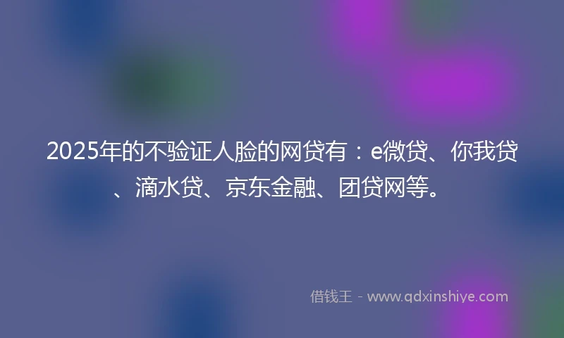 2025年的不验证人脸的网贷有：e微贷、你我贷、滴水贷、京东金融、团贷网等。