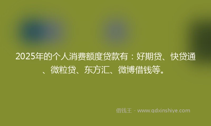 2025年的个人消费额度贷款有：好期贷、快贷通、微粒贷、东方汇、微博借钱等。