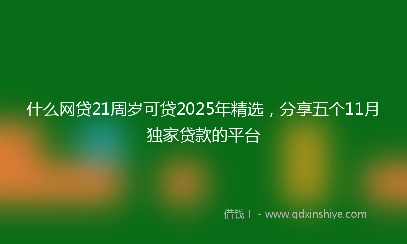 什么网贷21周岁可贷2025年精选，分享五个11月独家贷款的平台
