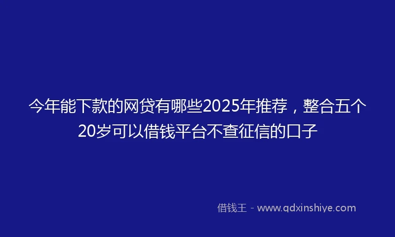 今年能下款的网贷有哪些2025年推荐，整合五个20岁可以借钱平台不查征信的口子