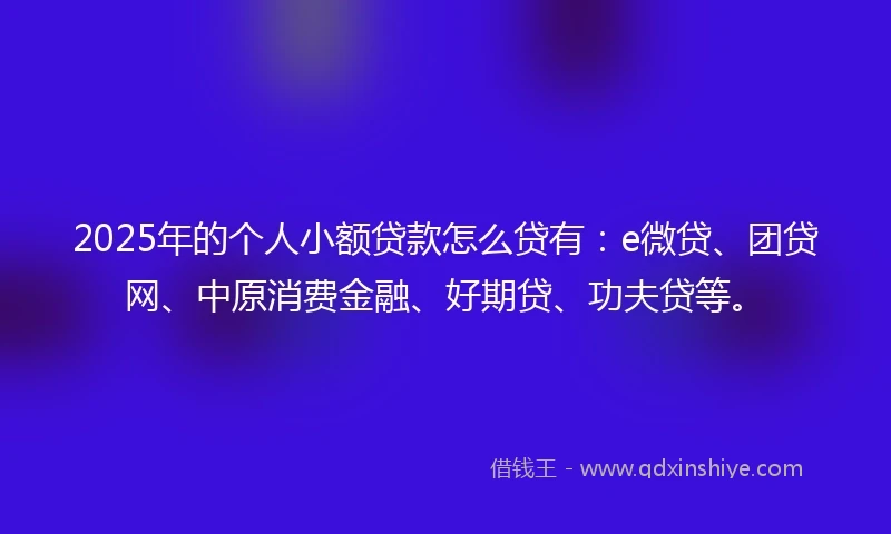 2025年的个人小额贷款怎么贷有：e微贷、团贷网、中原消费金融、好期贷、功夫贷等。