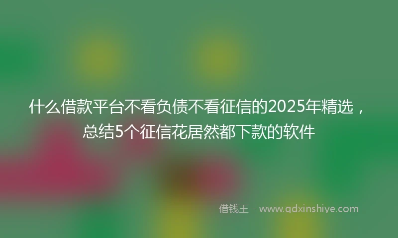 什么借款平台不看负债不看征信的2025年精选，总结5个征信花居然都下款的软件