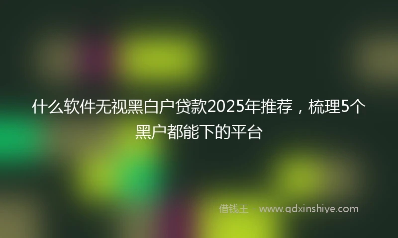 什么软件无视黑白户贷款2025年推荐，梳理5个黑户都能下的平台