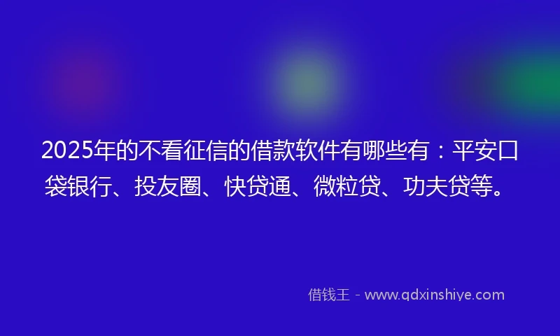 2025年的不看征信的借款软件有哪些有：平安口袋银行、投友圈、快贷通、微粒贷、功夫贷等。