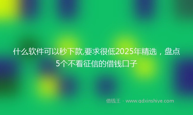 什么软件可以秒下款,要求很低2025年精选，盘点5个不看征信的借钱口子
