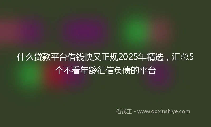 什么贷款平台借钱快又正规2025年精选，汇总5个不看年龄征信负债的平台