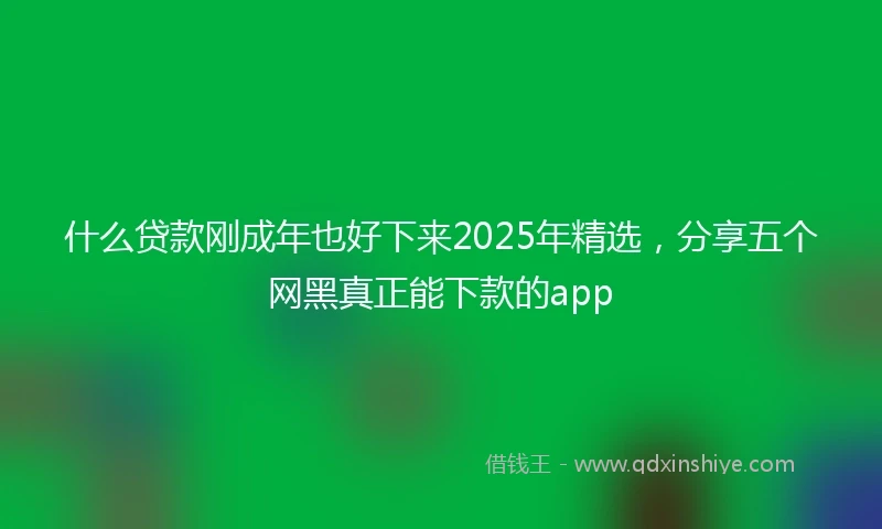 什么贷款刚成年也好下来2025年精选，分享五个网黑真正能下款的app