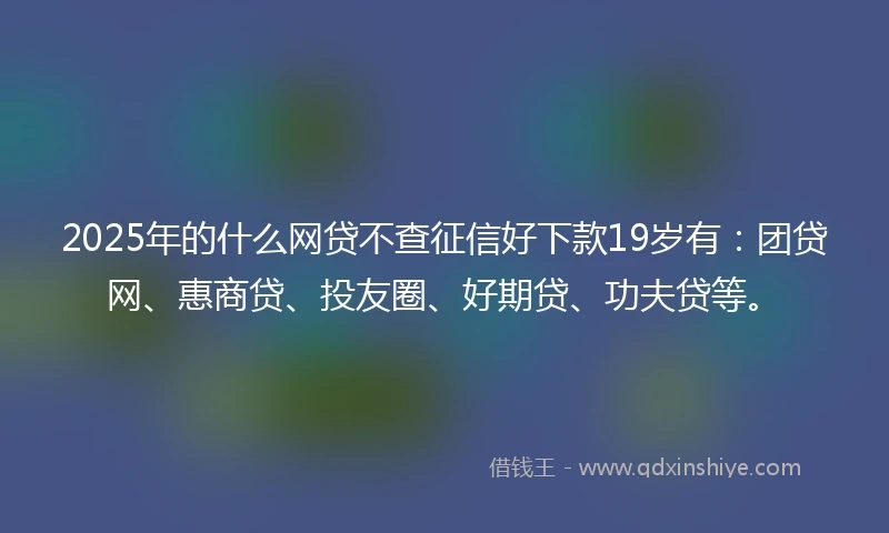 2025年的什么网贷不查征信好下款19岁有：团贷网、惠商贷、投友圈、好期贷、功夫贷等。