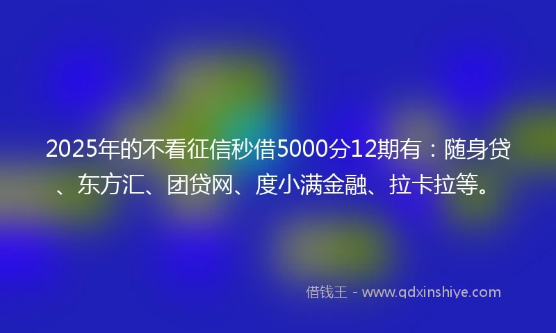 2025年的不看征信秒借5000分12期有:随身贷、东方汇、团贷网、度小满金融、拉卡拉等。