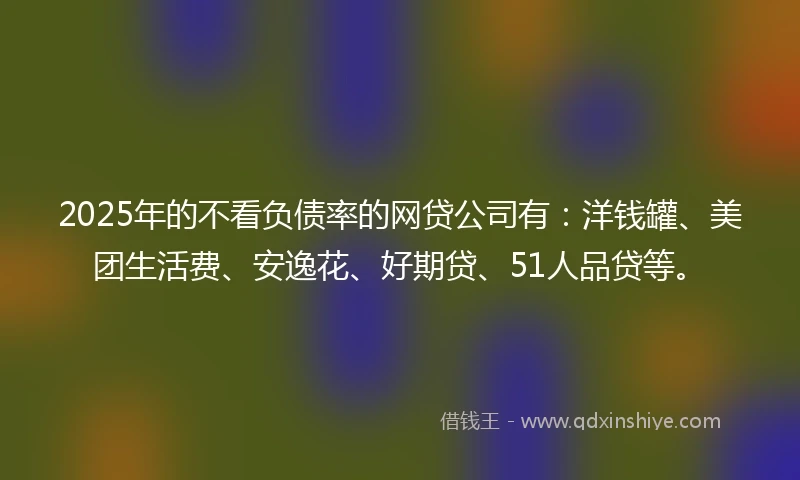 2025年的不看负债率的网贷公司有：洋钱罐、美团生活费、安逸花、好期贷、51人品贷等。