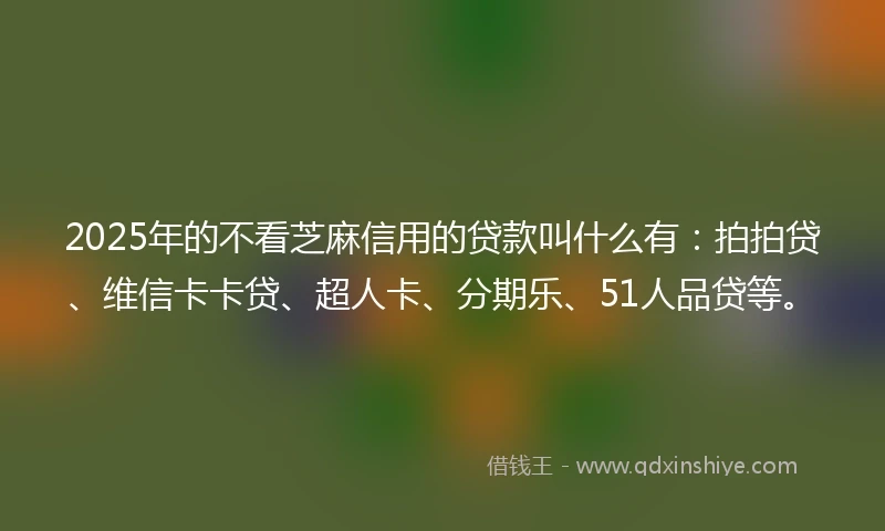 2025年的不看芝麻信用的贷款叫什么有：拍拍贷、维信卡卡贷、超人卡、分期乐、51人品贷等。