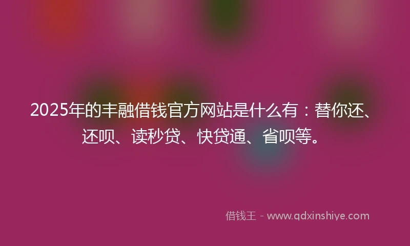 2025年的丰融借钱官方网站是什么有：替你还、还呗、读秒贷、快贷通、省呗等。