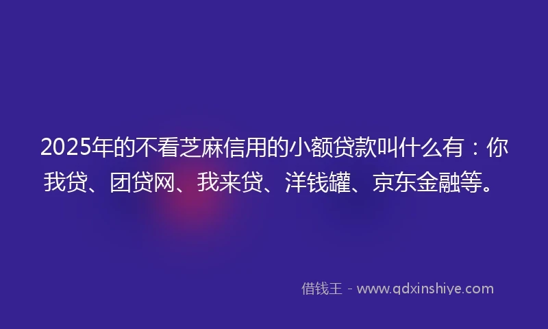 2025年的不看芝麻信用的小额贷款叫什么有：你我贷、团贷网、我来贷、洋钱罐、京东金融等。