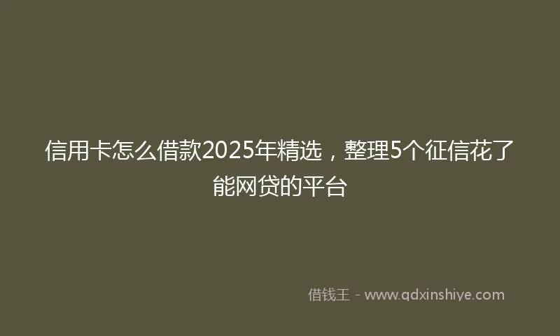 信用卡怎么借款2025年精选，整理5个征信花了能网贷的平台
