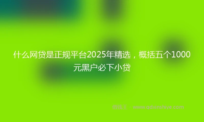 什么网贷是正规平台2025年精选，概括五个1000元黑户必下小贷