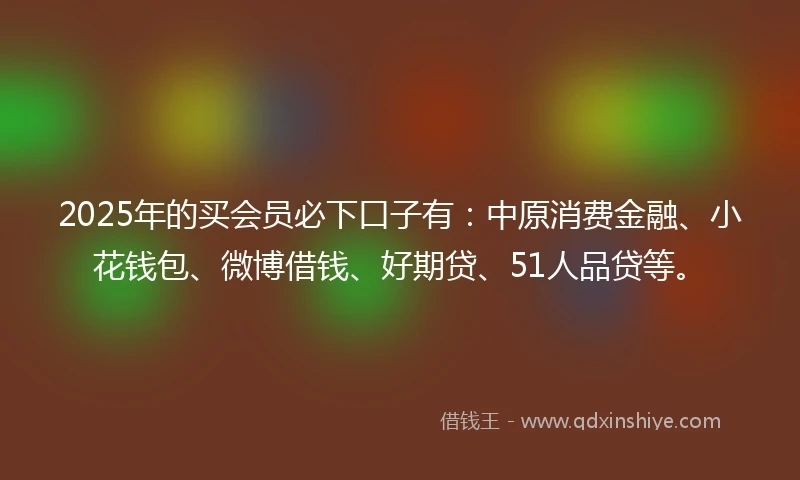 2025年的买会员必下口子有：中原消费金融、小花钱包、微博借钱、好期贷、51人品贷等。