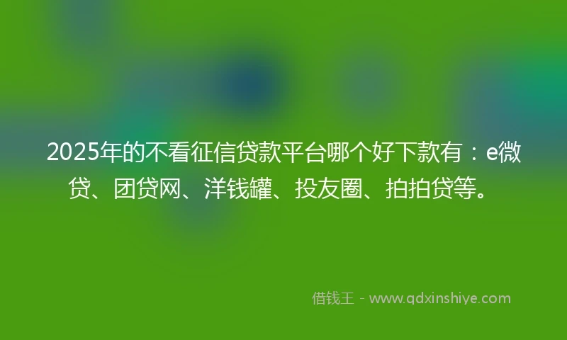 2025年的不看征信贷款平台哪个好下款有：e微贷、团贷网、洋钱罐、投友圈、拍拍贷等。