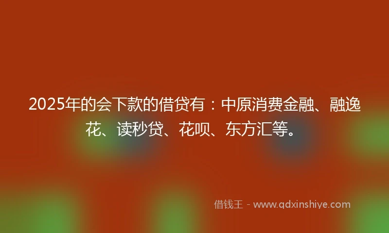 2025年的会下款的借贷有：中原消费金融、融逸花、读秒贷、花呗、东方汇等。