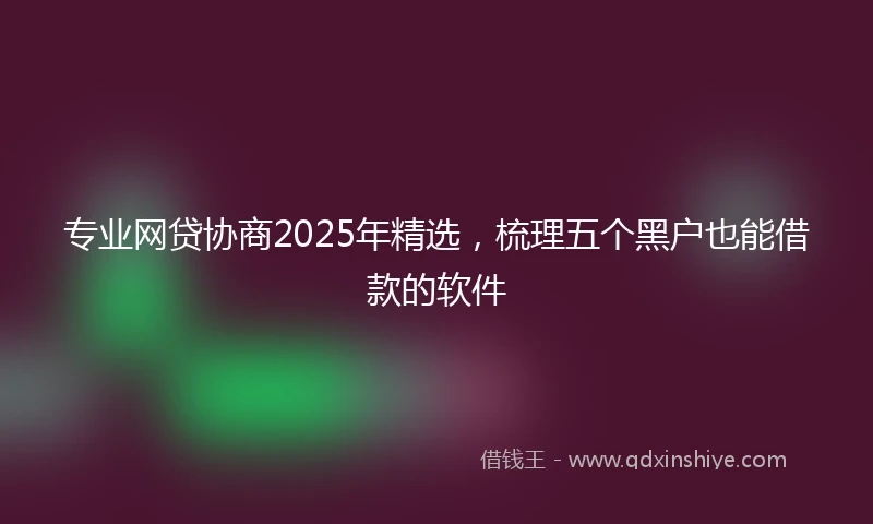 专业网贷协商2025年精选，梳理五个黑户也能借款的软件