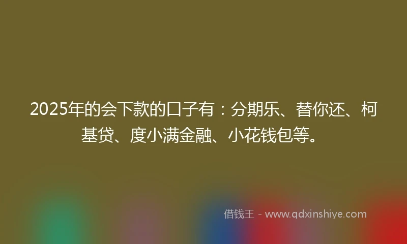2025年的会下款的口子有：分期乐、替你还、柯基贷、度小满金融、小花钱包等。